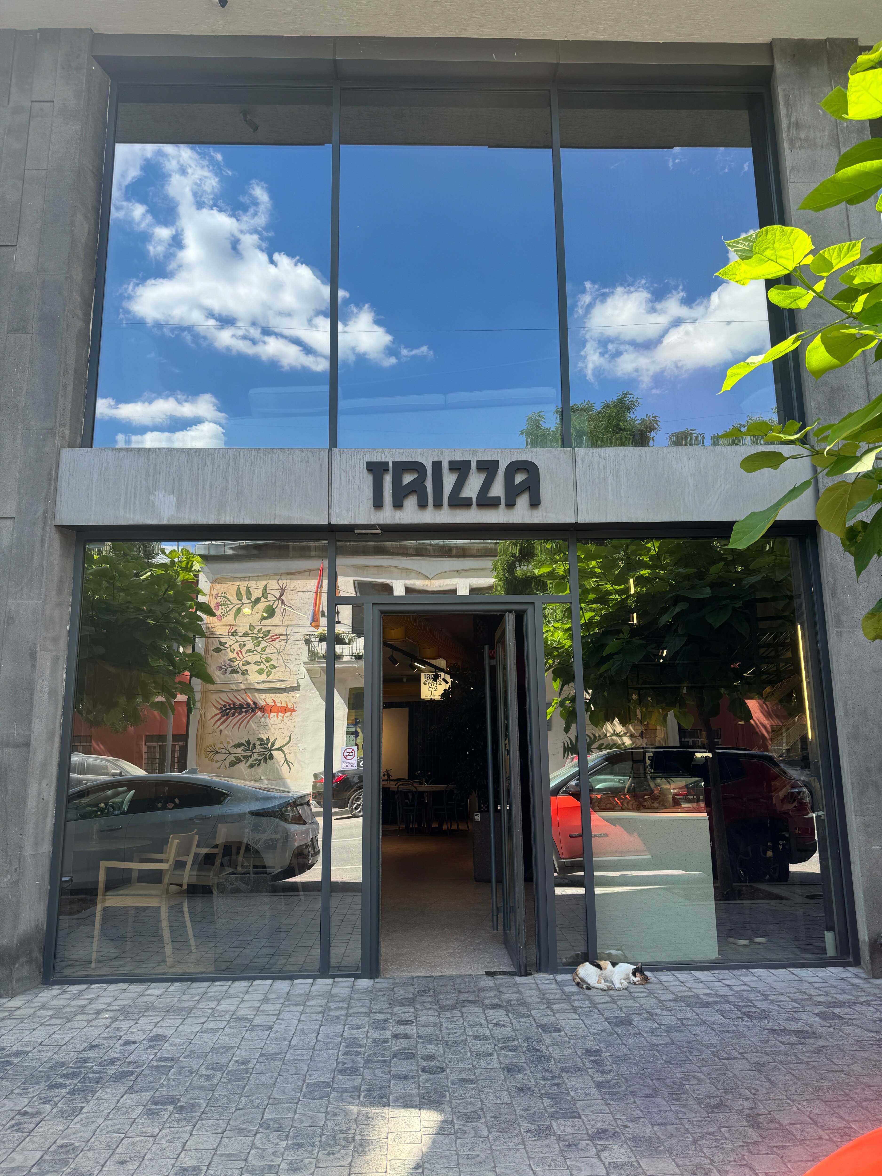 Trizza