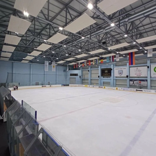 Figure Skating and Hockey School
